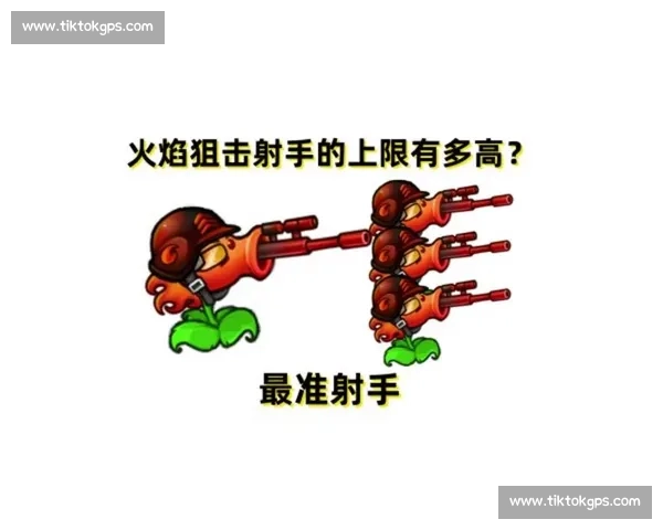 射手英雄崛起:带你深入了解最强射手角色及其玩法技巧